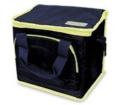 Bolsa nevera portatil 10l. gsc 2703155