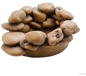 Estanque para ranas exo terra frog pond