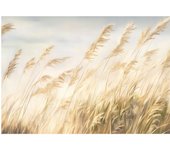 Papier peint panoramique intissé boho beige nature 400x280 cm - colle inclus - xxl moderne papier peint pour chambre salon