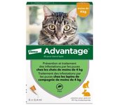 Advantage solution antipuce chat lapin 1 a 4kg 6 pipettes