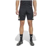 Adidas - Pantalón corto SLB Benfica Training 2025-2026, Unisex, Black, L