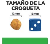 Pack 2 x 10 Kg Pienso Hill's Prescription Diet r/d Pérdida de Peso para perros sabor pollo