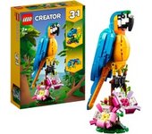 31136, Juegos de construcción