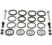 All Balls Kit de reconstrucción de pinzas -