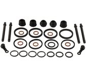 All Balls Kit de reconstrucción de pinzas -