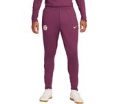 Nike - Pantalón largo PSG Training 2024-2025, Unisex, Bordeaux-Geode Teal-Guava Ice, L