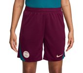 Nike - Pantalón corto PSG Training 2024-2025, Unisex, Bordeaux-Geode Teal-Guava Ice, L