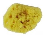 Esponja facial fina natural 1 unidad - Avril