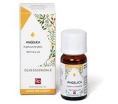 Aceite Esencial angelica 10 ml de aceite esencial - Fitomedical