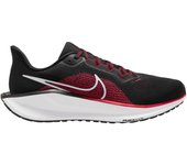 Zapatillas de running Nike Pegasus 41
