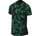 Camiseta Nike Academy Pro Dri-FIT