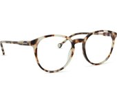 Lentiamo Sandro Ivory Havana
