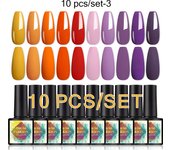 Parkson Gel Polish Set 8ml Lacquer Varnish 10Pcs/set Soak Off UV LED Long-lasting Magnetic Nail Art Super Enamels Gel Polish Kit