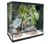 KIT para Terrario Repti Selva Cristal 75 L: Entorno Ideal y Completo para Reptiles - CPA