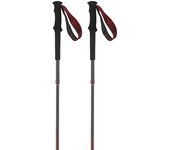 Salomon Bastones Quest Carbon Foldable