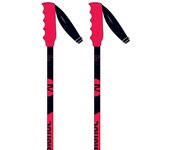 Rossignol Bastones Hero Sl