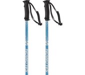 Salomon Bastones Rental Anodized