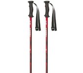 Masters Bastones Rental Carbon