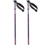 Salomon Bastones Arctic S3 Xl