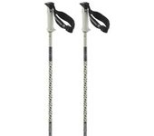Salomon Bastones Polar Pro S3