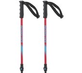 Salomon Bastones Junior Mtn
