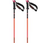 Salomon Bastones Polar Pro S3
