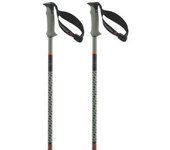 Salomon Bastones Polar Pro S3