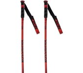 Rossignol Bastones Hero Gs-sg