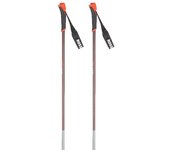 Rossignol Bastones Ft-600