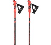 Rossignol Bastones Tactic Clip