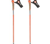 Rossignol Bastones Force 10