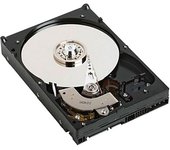 Dell Hdd Npos Sata 1tb 3.5´´
