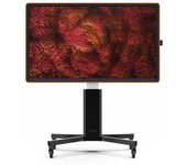 Ctouch Monitor Táctil 10052565 65´´ 4k Led