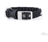 Myfamily Collar Para Perro Milano
