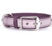 Myfamily Collar Para Perro Firenze