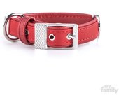Myfamily Collar Para Perro Bilbao