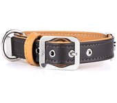 Myfamily Collar Para Perro Hermitage