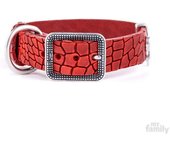 Myfamily Collar Para Perro Tucson