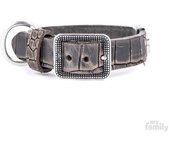 Myfamily Collar Para Perro Tucson