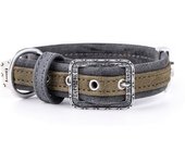 Myfamily Collar Para Perro London