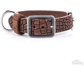 Myfamily Collar Para Perro Tucson