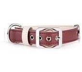 Myfamily Collar Para Perro Hermitage