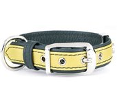 Myfamily Collar Para Perro Firenze