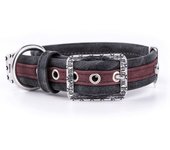 Myfamily Collar Para Perro London