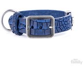 Myfamily Collar Para Perro Tucson
