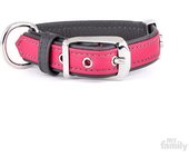 Myfamily Collar Para Perro Firenze