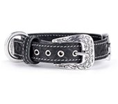 Myfamily Collar Para Perro El Paso