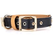 Myfamily Collar Para Perro Hermitage