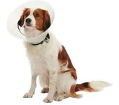 Kruuse Collar Para Perro Elizabethan