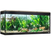 Fluval Acuario Roma Led Bluetooth 240l
